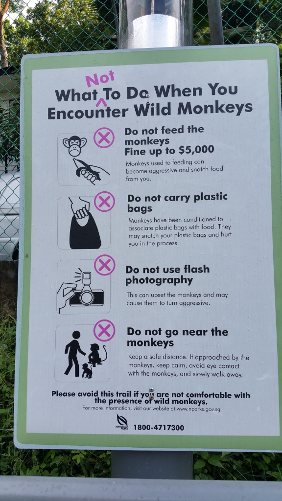 Along the trail, you might encounter exotic fauna. No fear - here is your friendly PSA action plan In Case of Monkeys.